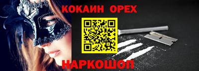 гидра Гатчина