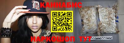 гидра Гатчина