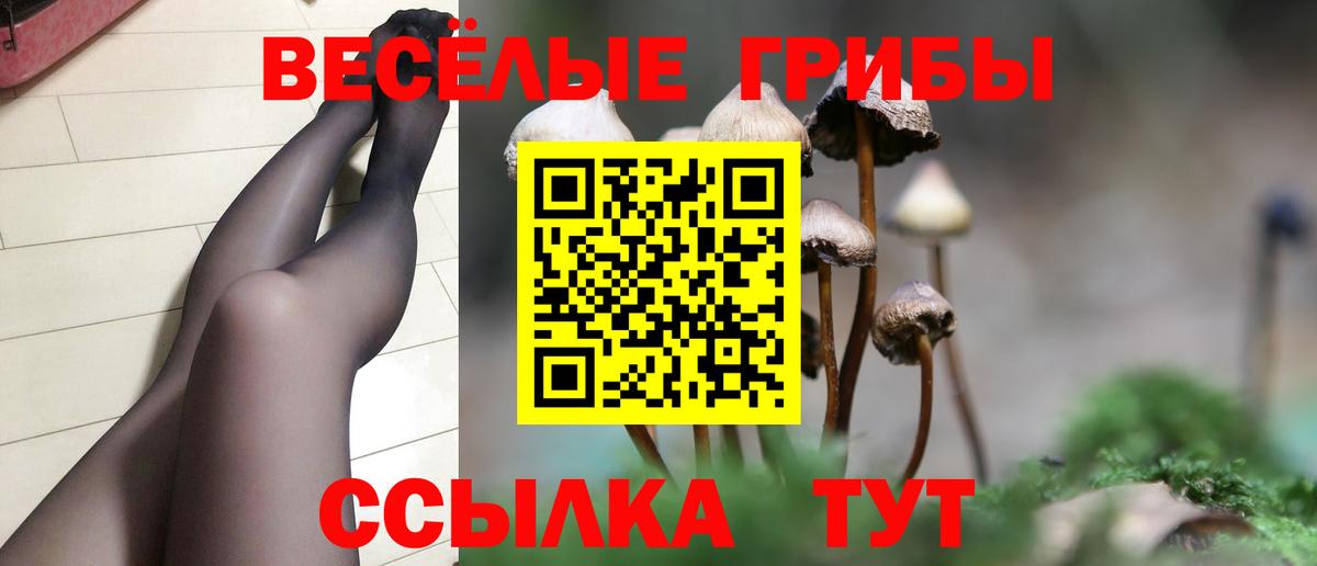 Заречный  Псилоцибиновые грибы Psilocybe  Вход с VPN  Псилоцибиновые грибы Cubensis 